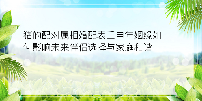 猪的配对属相婚配表壬申年姻缘如何影响未来伴侣选择与家庭和谐