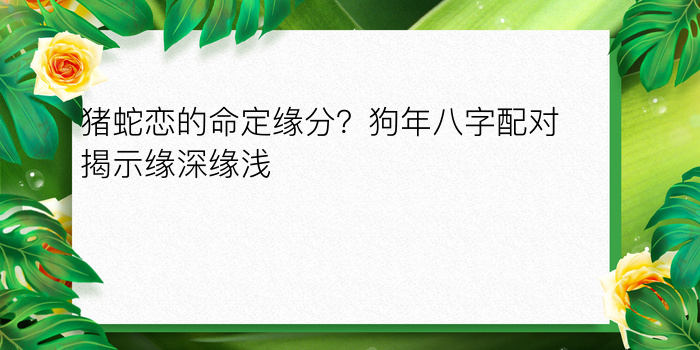 八字运程2024游戏截图