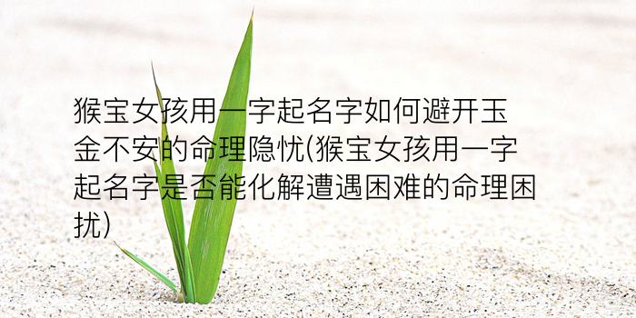 家政公司起名大全游戏截图