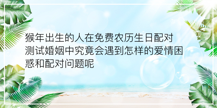 新浪生日配对游戏截图