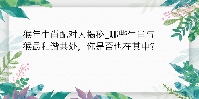 猴年生肖配对大揭秘_哪些生肖与猴最和谐共处，你是否也在其中？