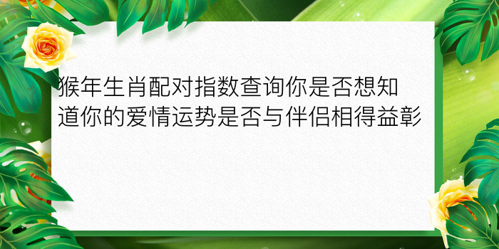 新车牌号码测吉凶打分游戏截图