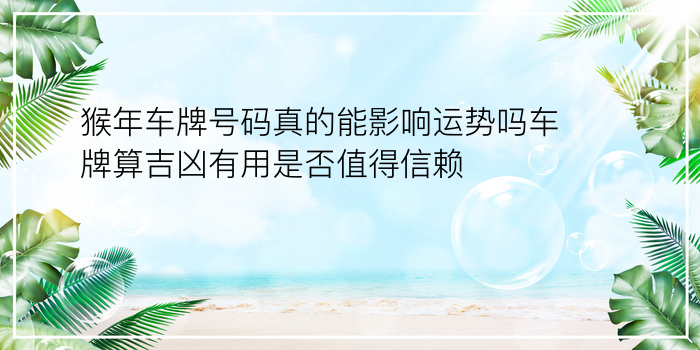 测试车牌号码吉凶游戏截图