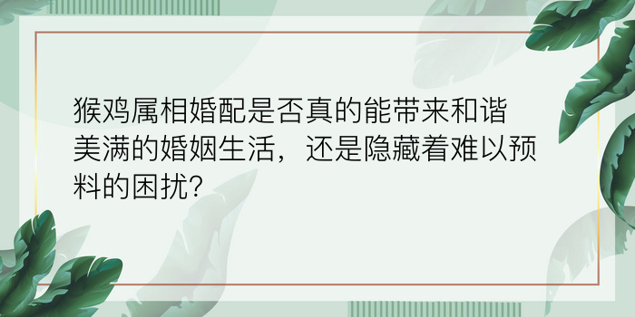 猴鸡属相婚配是否真的能带来和谐美满的婚姻生活，还是隐藏着难以预料的困扰？