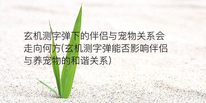 姓名测试名典游戏截图