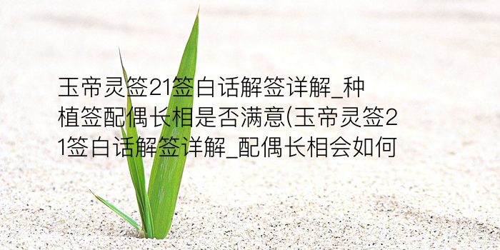 财神灵签19签游戏截图