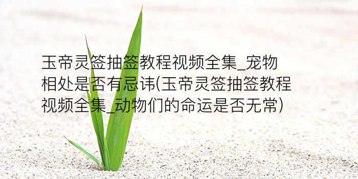 佛祖灵签十三签游戏截图