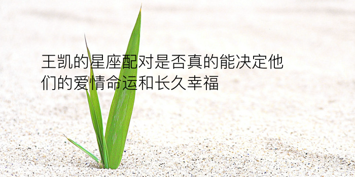 王凯的星座配对是否真的能决定他们的爱情命运和长久幸福