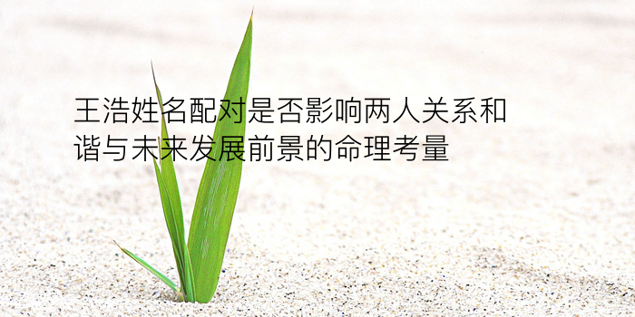 车牌吉祥号码吉凶测试游戏截图