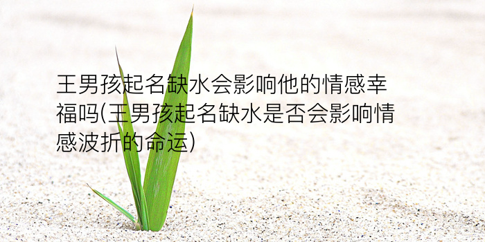 彭取名周易游戏截图