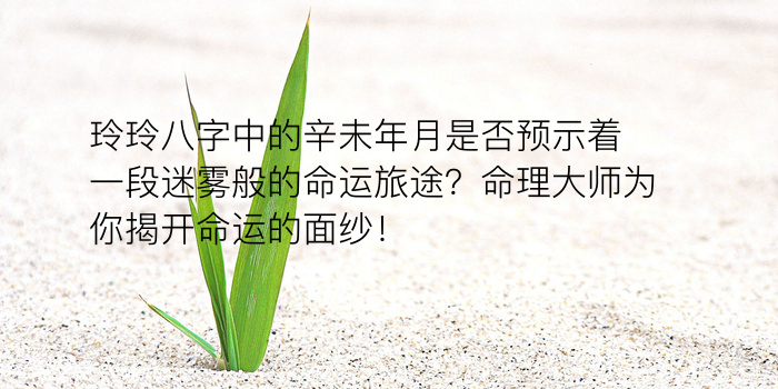 推八字起名游戏截图