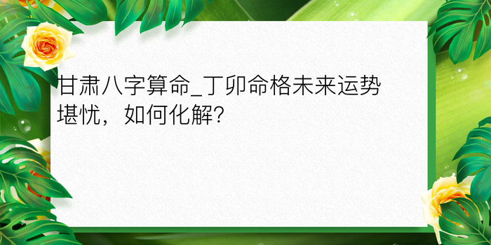 鸡最佳婚配属相游戏截图