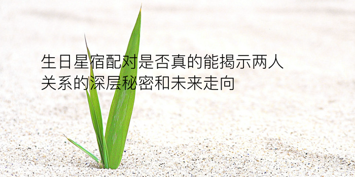 生日密码配对解析爱情游戏截图