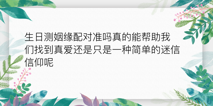 车牌字母吉凶游戏截图