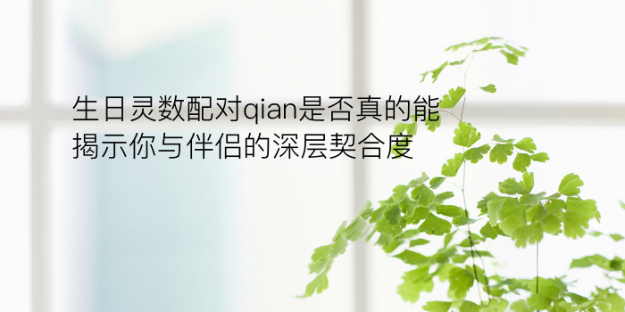 生日灵数配对qian是否真的能揭示你与伴侣的深层契合度