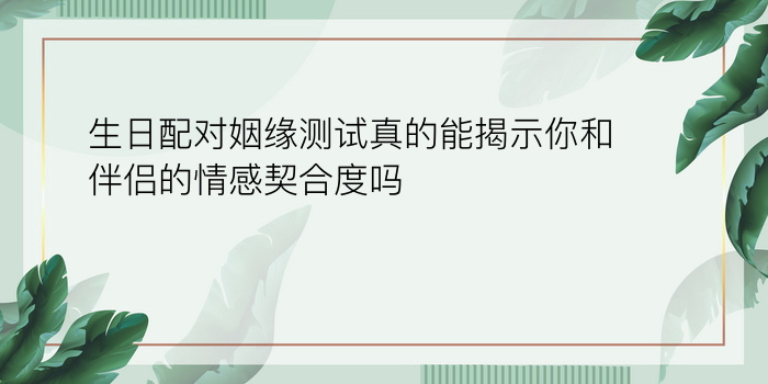 姓名配对缘分指数游戏截图