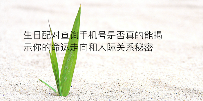 车牌总和相加吉凶游戏截图