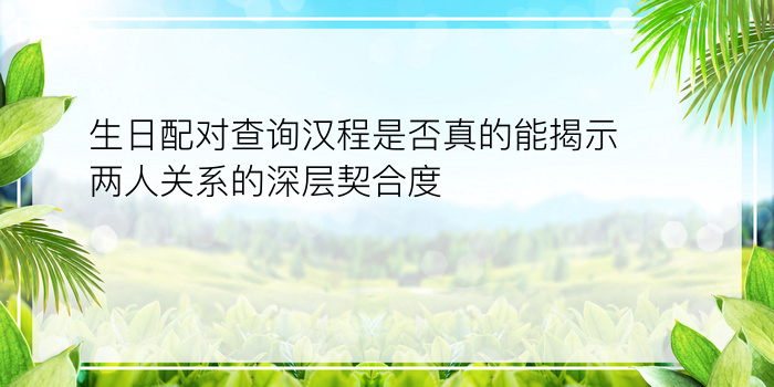 生日配对查询汉程是否真的能揭示两人关系的深层契合度