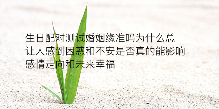 测车牌号吉凶打分游戏截图