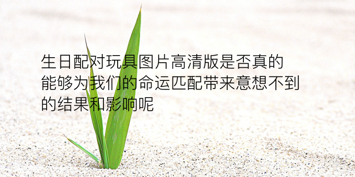 十二生肖配对算命游戏截图