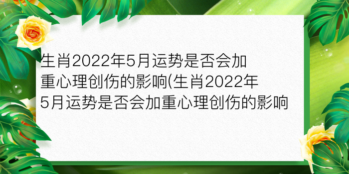 二零二算运网