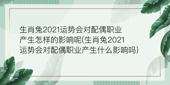 二零二算运网