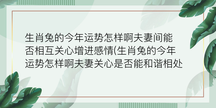 生肖兔的今年运势怎样啊夫妻间能否相互关心增进感情(生肖兔的今年运势怎样啊夫妻关心是否能和谐相处)