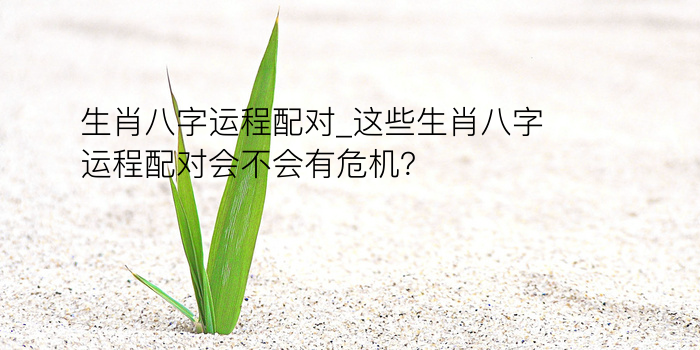 生肖八字运程配对_这些生肖八字运程配对会不会有危机？