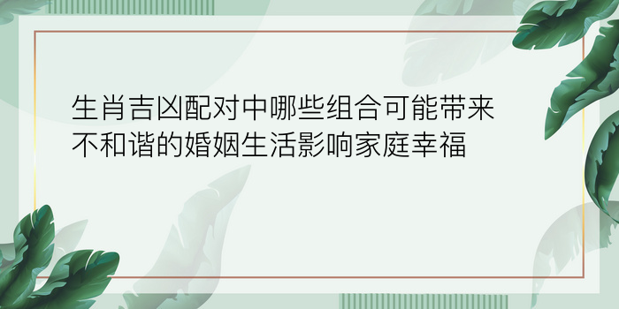 手机号与密码配对游戏截图