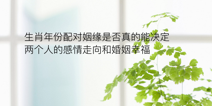 生日合婚配对游戏截图