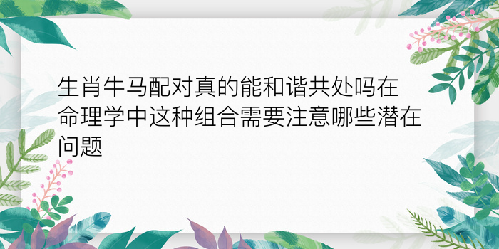 生肖牛马配对真的能和谐共处吗在命理学中这种组合需要注意哪些潜在问题