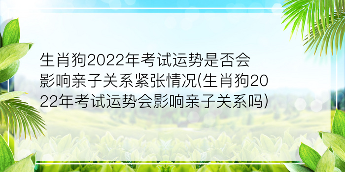 二零二算运网