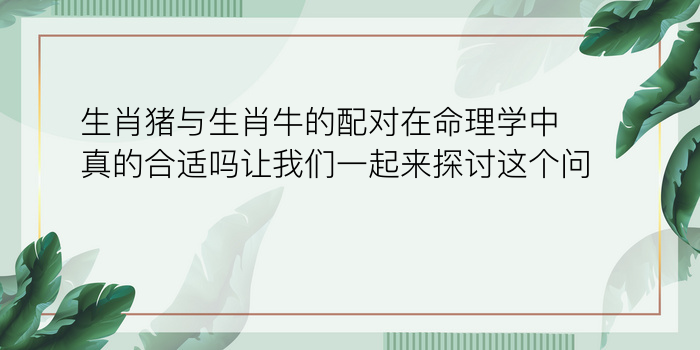 生肖猪与生肖牛的配对在命理学中真的合适吗让我们一起来探讨这个问题