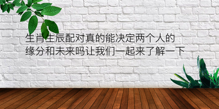 生肖生辰配对真的能决定两个人的缘分和未来吗让我们一起来了解一下