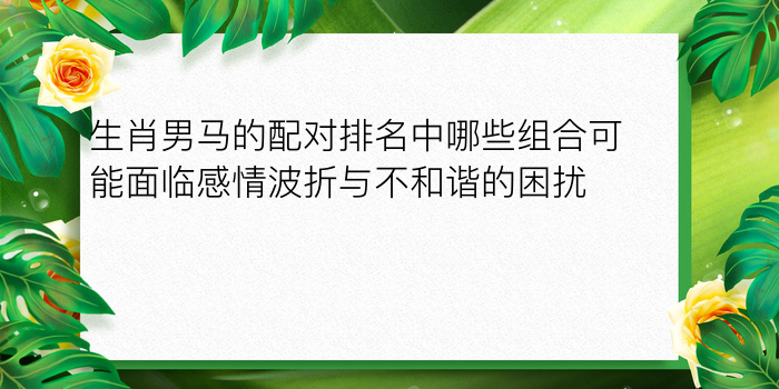 生肖男马的配对排名中哪些组合可能面临感情波折与不和谐的困扰