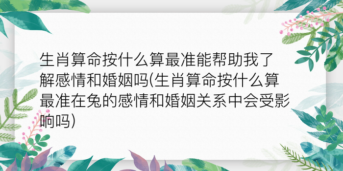 生肖狗本周运势游戏截图