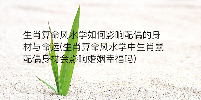 吴宽之今日生肖运势游戏截图