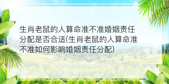 生肖老鼠的人算命准不准婚姻责任分配是否合适(生肖老鼠的人算命准不准如何影响婚姻责任分配)