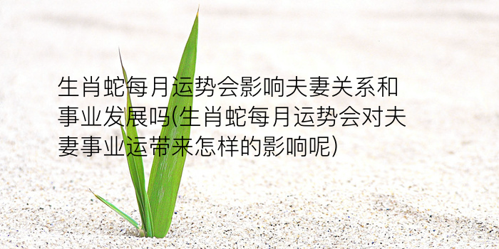 生肖猴今年运势游戏截图