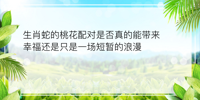 生肖蛇的桃花配对是否真的能带来幸福还是只是一场短暂的浪漫