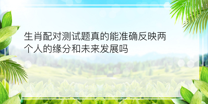 生肖配对测试题真的能准确反映两个人的缘分和未来发展吗