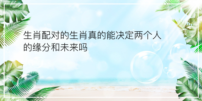 生日配对查询序列号游戏截图