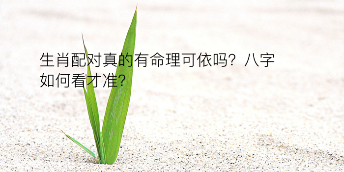 生肖配对真的有命理可依吗？八字如何看才准？