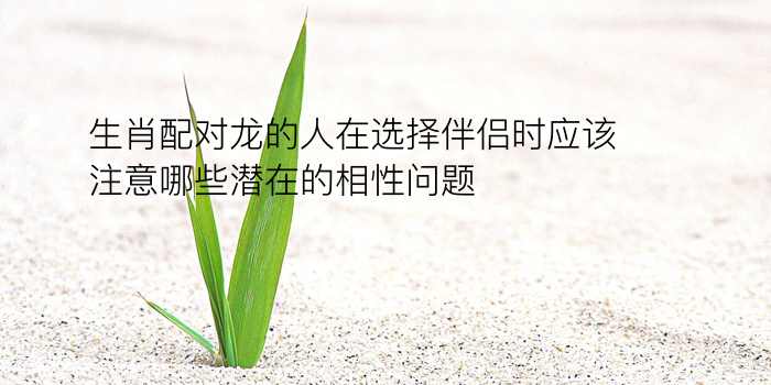 生肖缘分配对游戏截图