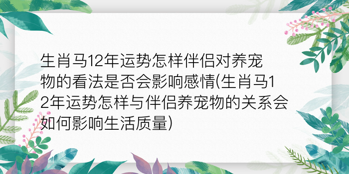 二零二算运网