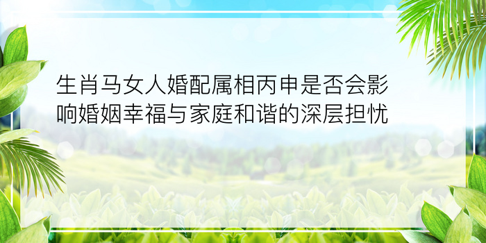 生肖马女人婚配属相丙申是否会影响婚姻幸福与家庭和谐的深层担忧