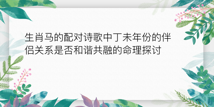 生肖马的配对诗歌中丁未年份的伴侣关系是否和谐共融的命理探讨