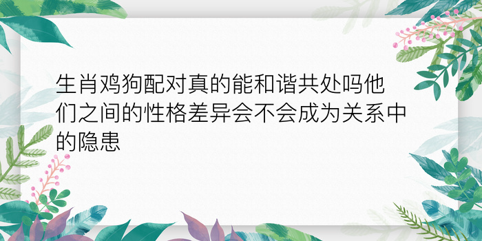 姓名配对三藏网游戏截图