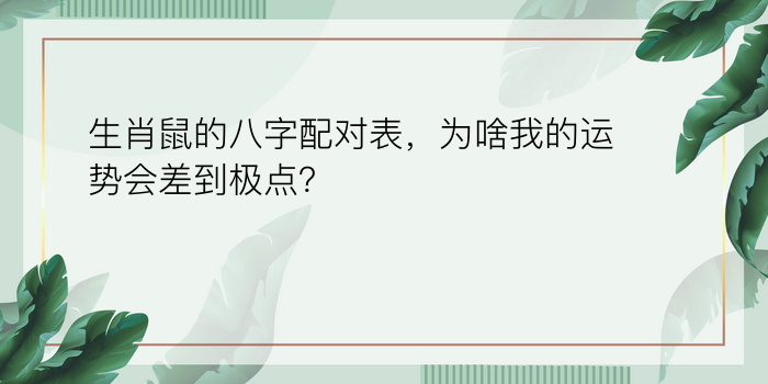 1980年八字运程游戏截图