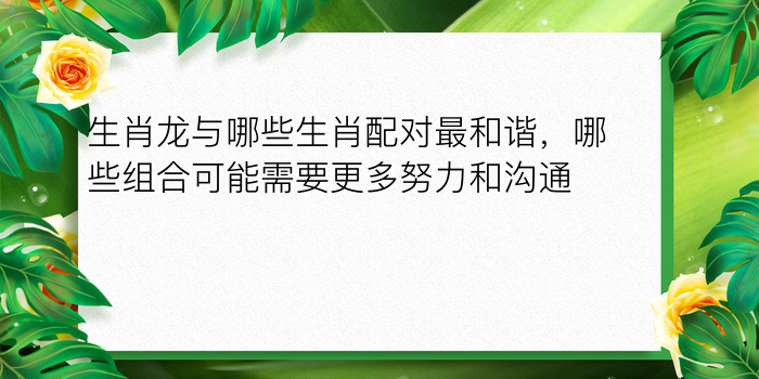 生肖龙与哪些生肖配对最和谐，哪些组合可能需要更多努力和沟通